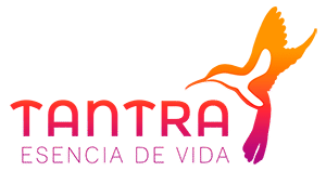 Volver a la página principal