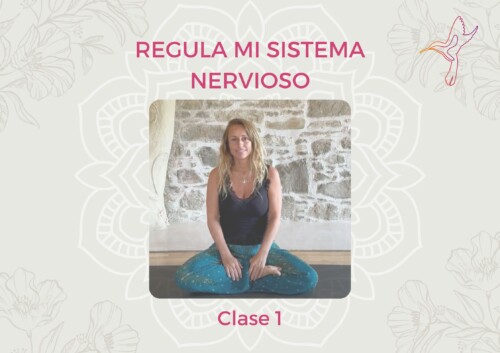 Regula mi sistema nervioso (Clase 1)